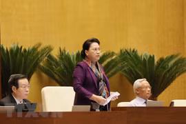 NA agree to postpone adoption of draft law on special economic zones
