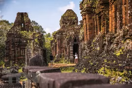 India helps translate ancient inscriptions in My Son Sanctuary 