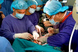 Vietnamese doctors succeed in first transplant of two lungs