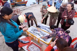 Kien Giang moves to fight illegal fishing 