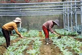 Ha Nam remains attractive to foreign investors