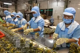 Vietnam to attend China International Import Exposition