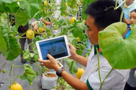  HCM City launches tech development fund
