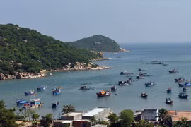 Ninh Thuan aims to become exciting destination