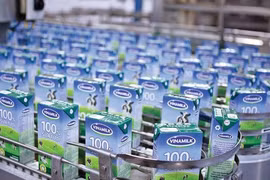 Platinum Victory to raise Vinamilk’s ownership to 11 percent