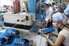 Leather, footwear sector targets 20 bln USD in export earnings