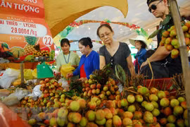 Southern fruit festival to take place in June 