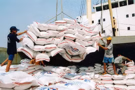 Three SOEs to hold March IPOs