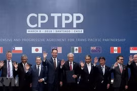 CPTPP operation to be discussed in Tokyo