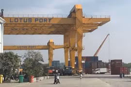 HCM City applies automated customs management system 