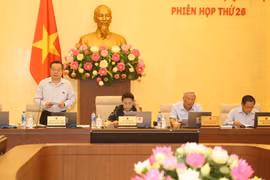 Lawmakers: Future ODA loans are still needed for Vietnam