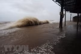 Project helps better wave, flow forecasts in East Sea