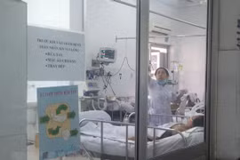 A/H1N1 influenza causes more deaths in southern region
