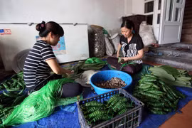 Hung Yen rice cakes enchant with rural flavour