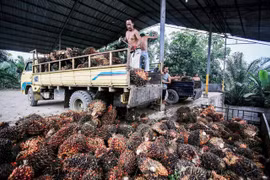 Switzerland, Indonesia agree on free trade deal 