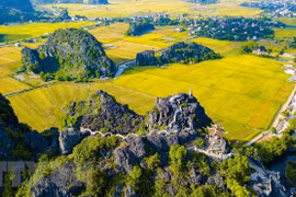 Mua Cave – a must-see destination in Ninh Binh