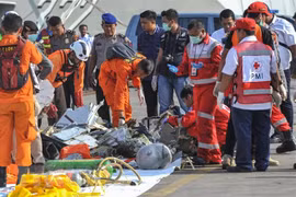 Vietnam extends sympathy to Indonesia over Lion Air plane crash