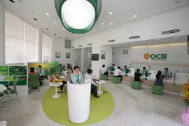 Vietcombank sells out OCB stake at auction