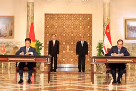 Vietnam, Egypt issue joint statement 
