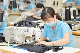 Majority of German firms plan to expand Vietnam business: report