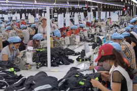 CP TPP to yield huge economic gains for Vietnam: WB report