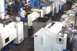 SOE equitisation needs faster pace