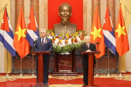 Vietnam, Cuba resolved to work for sustainable cooperation 