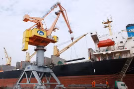 Cargo through seaports surges