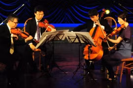 Free concerts delight locals in Da Nang