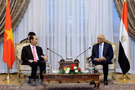 President: Vietnam maintains friendship with Egypt via different channels 
