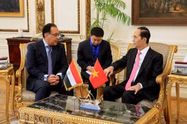 Vietnam, Egypt should bolster trade promotion: President