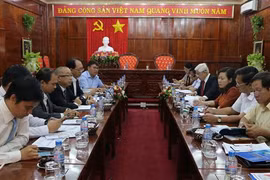 Japanese group eyes solar energy plant in Binh Phuoc
