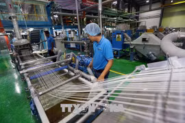 Dong Nai secures 1.76 billion USD in FDI