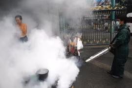 Dengue fever spreads in Bangkok