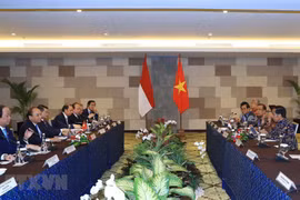  Vietnam, Indonesia aim for breakthroughs in economic ties 