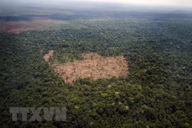 China, Cambodia foster cooperation in environmental protection