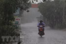 East Sea to see 12 – 14 storms in 2018