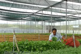 Human resource training key to boost agriculture 4.0