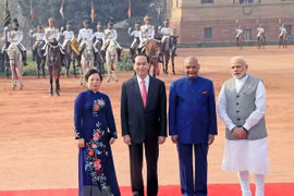Vietnam, India issue joint statement