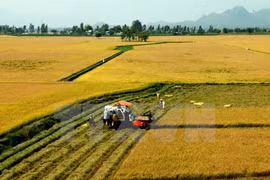 Vietnam commits to realising GMS high-tech agriculture priority