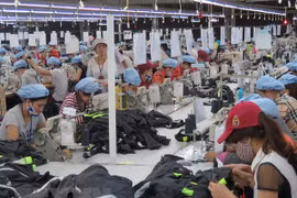 Garment-textile sector targets green production 