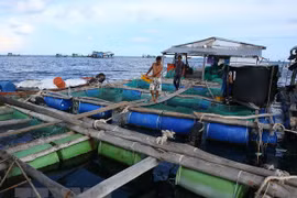 Draft strategy targets Vietnam’s leading position in Asian mariculture
