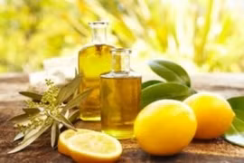 Hue’s cajeput oil to get geographical indication