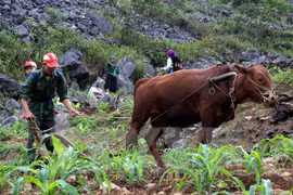 World Bank report: Vietnam continues to reduce poverty 