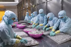 Vietnam’s export of aquatic products grows strongly in year’s first half 