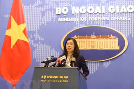 Vietnam expresses concern about situation in Syria