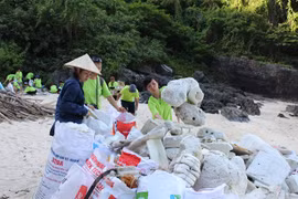 Artwork campaign aims to raise awareness of marine plastic pollution