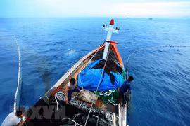 Quang Binh recovers after marine pollution