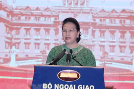 Parliamentary diplomacy contributes to nation’s international integration