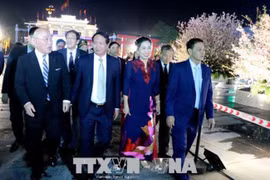 Vietnam-Japan culture exchange opened in Hai Phong